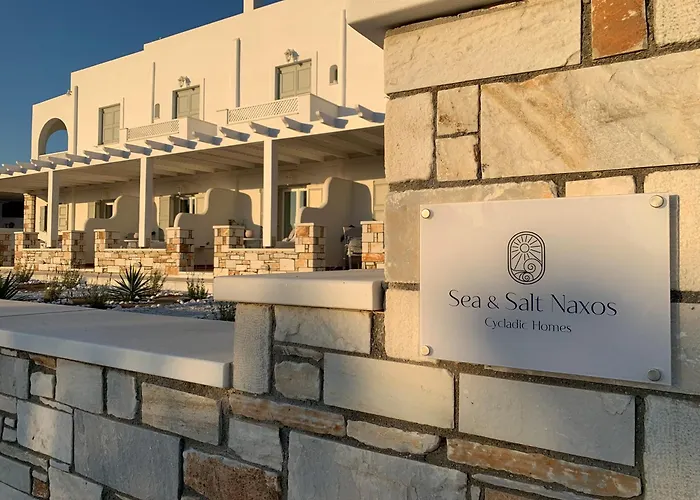 Sea And Salt Naxos 1 Διαμέρισμα *